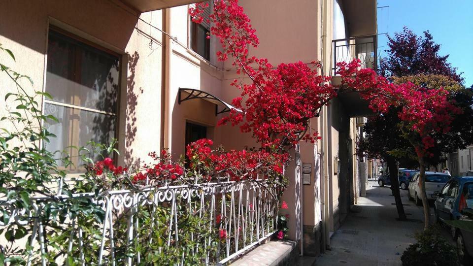 Bed And Breakfast Hibiscus Alghero Bagian luar foto